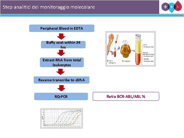Step analitici del monitoraggio molecolare Peripheral Blood in EDTA Buffy coat within 24 hrs