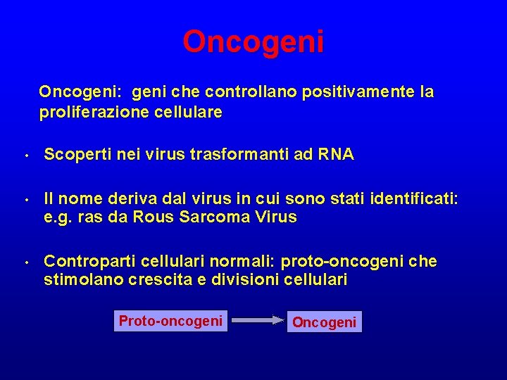 Oncogeni: geni che controllano positivamente la proliferazione cellulare • Scoperti nei virus trasformanti ad