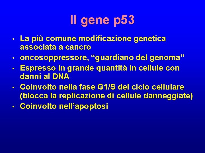 Il gene p 53 • • • La più comune modificazione genetica associata a