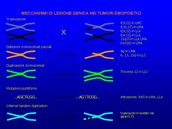 MECCANISMI DI LESIONE GENICA NEI TUMORI EMOPOIETICI Traslocazioni t(9; 22) in LMC t(15; 17)