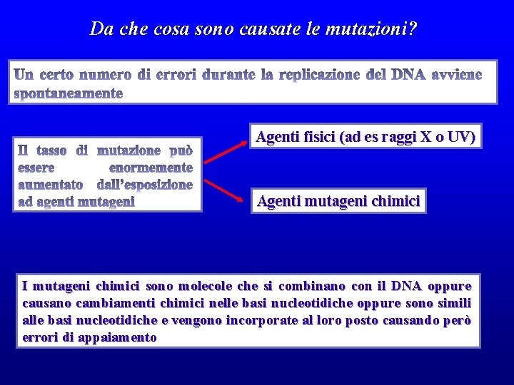 Da che cosa sono causate le mutazioni? . Agenti fisici (ad es raggi X