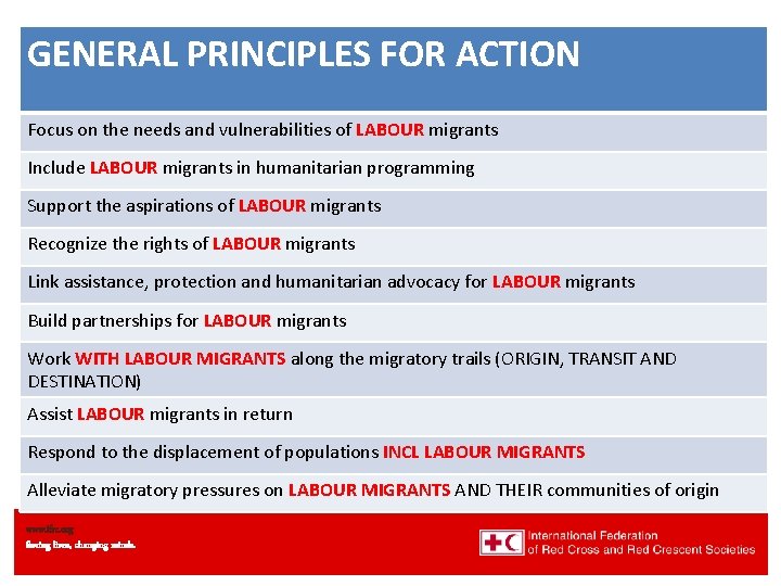 GENERAL PRINCIPLES FOR ACTION Migration Strategy Focus on the needs and vulnerabilities of LABOUR