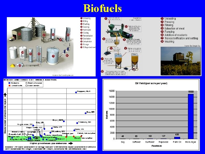 Energy Alternatives and Projections The Future of Energy