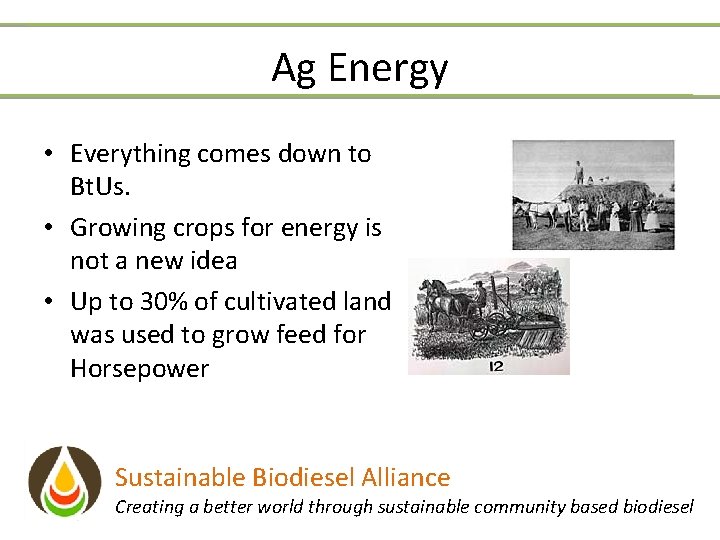 Ag Energy • Everything comes down to Bt. Us. • Growing crops for energy