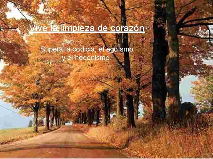 Vive la limpieza de corazón Supera la codicia, el egoísmo y el hedonismo. 
