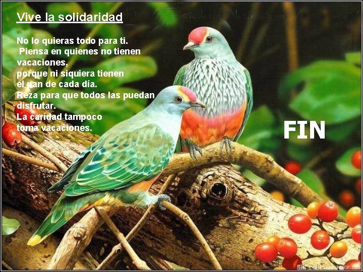 Vive la solidaridad No lo quieras todo para ti. Piensa en quienes no tienen