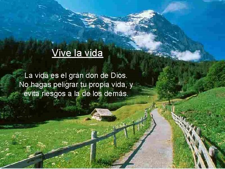 Vive la vida La vida es el gran don de Dios. No hagas peligrar