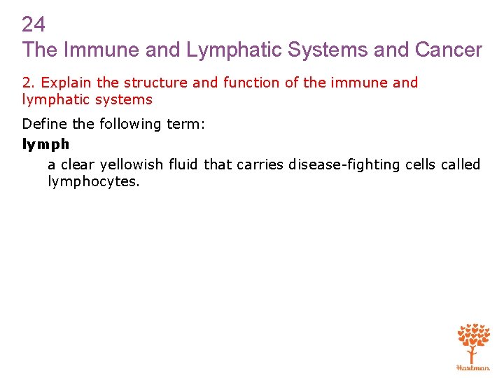 24 The Immune and Lymphatic Systems and Cancer 2. Explain the structure and function