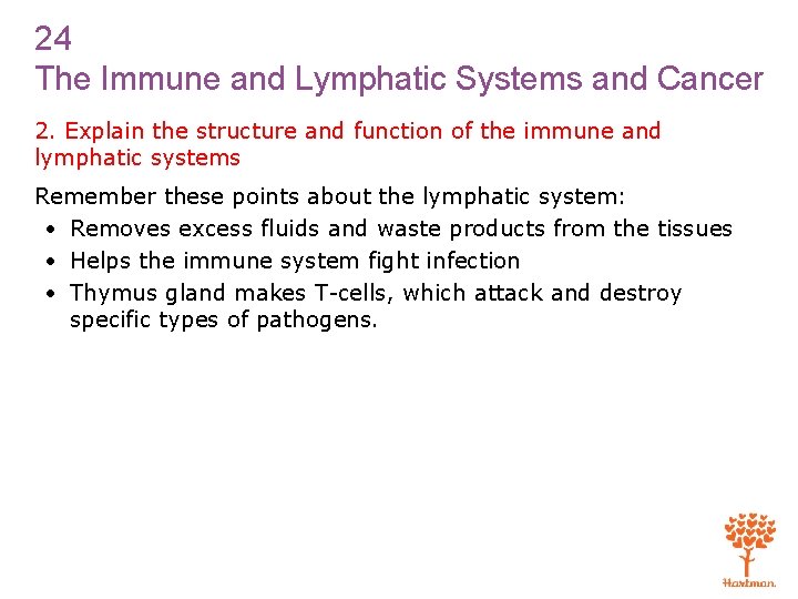 24 The Immune and Lymphatic Systems and Cancer 2. Explain the structure and function