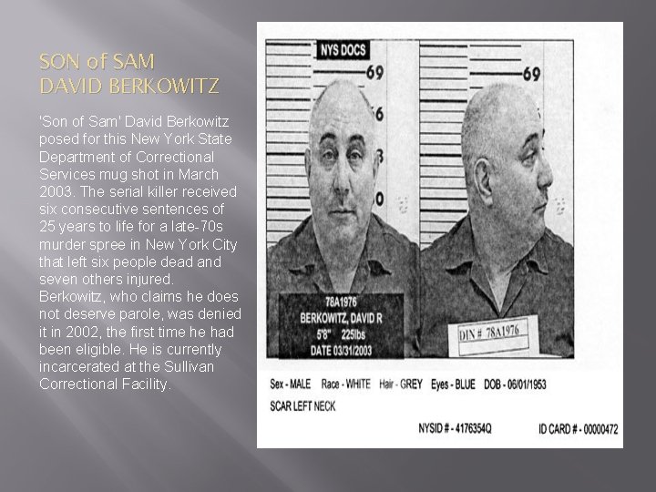 SON of SAM DAVID BERKOWITZ 'Son of Sam' David Berkowitz posed for this New