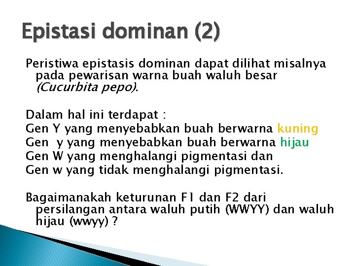 Epistasi dominan (2) Peristiwa epistasis dominan dapat dilihat misalnya pada pewarisan warna buah waluh