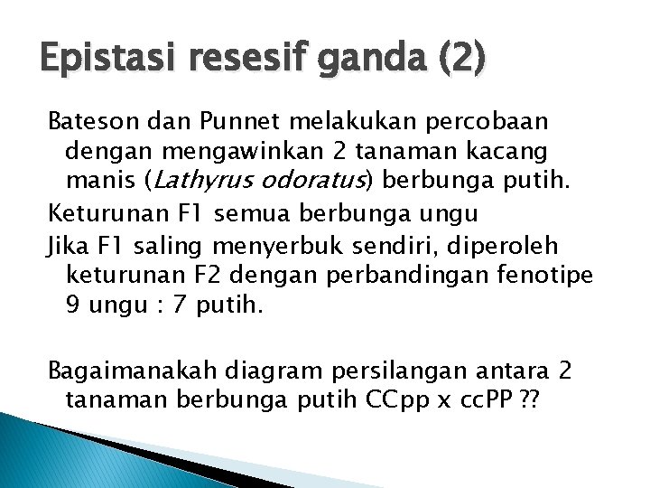 Epistasi resesif ganda (2) Bateson dan Punnet melakukan percobaan dengan mengawinkan 2 tanaman kacang