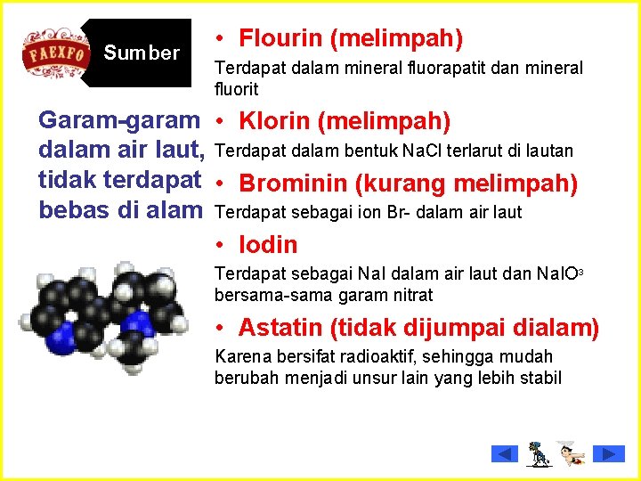 Sumber • Flourin (melimpah) Terdapat dalam mineral fluorapatit dan mineral fluorit Garam-garam • Klorin