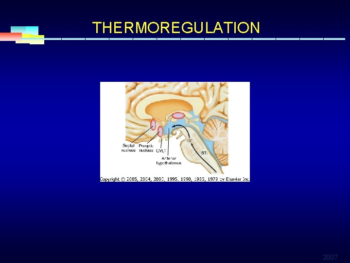 THERMOREGULATION 2007 