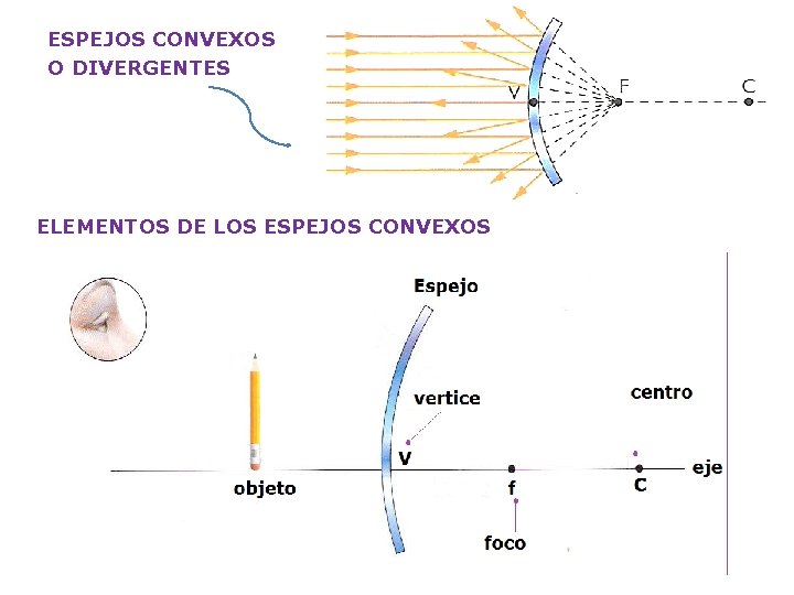 ESPEJOS CONVEXOS O DIVERGENTES ELEMENTOS DE LOS ESPEJOS CONVEXOS 