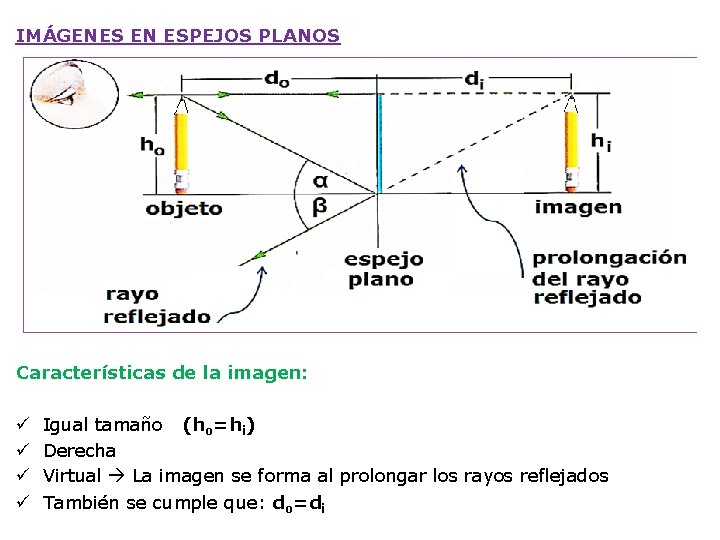 IMÁGENES EN ESPEJOS PLANOS Características de la imagen: ü ü Igual tamaño (ho=hi) Derecha