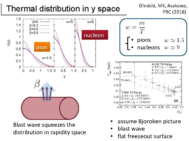 Thermal distribution in y space nucleon pion Blast wave squeezes the distribution in rapidity