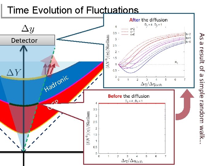 Time Evolution of Fluctuations ic n o dr Ha P G Q As a