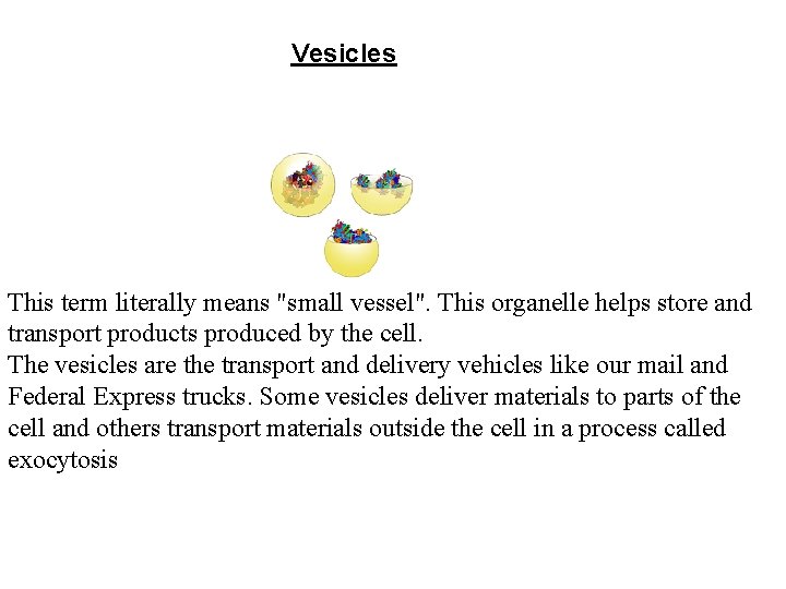 Vesicles This term literally means "small vessel". This organelle helps store and transport products