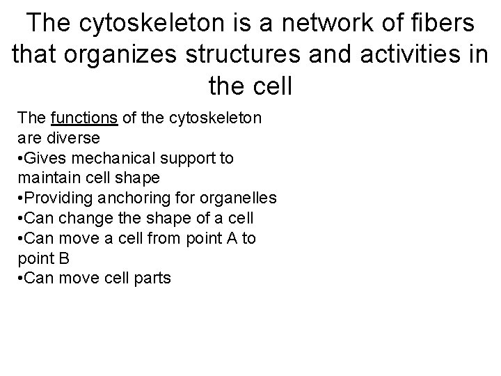 The cytoskeleton is a network of fibers that organizes structures and activities in the