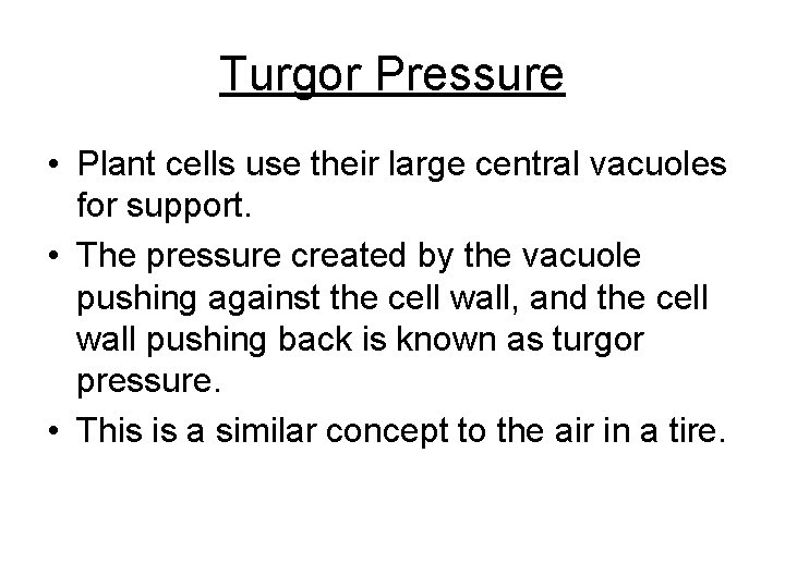 Turgor Pressure • Plant cells use their large central vacuoles for support. • The