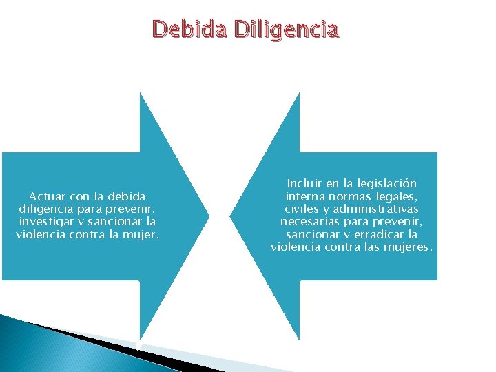 Debida Diligencia Actuar con la debida diligencia para prevenir, investigar y sancionar la violencia