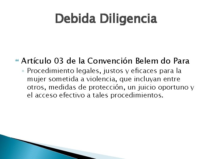 Debida Diligencia Artículo 03 de la Convención Belem do Para ◦ Procedimiento legales, justos