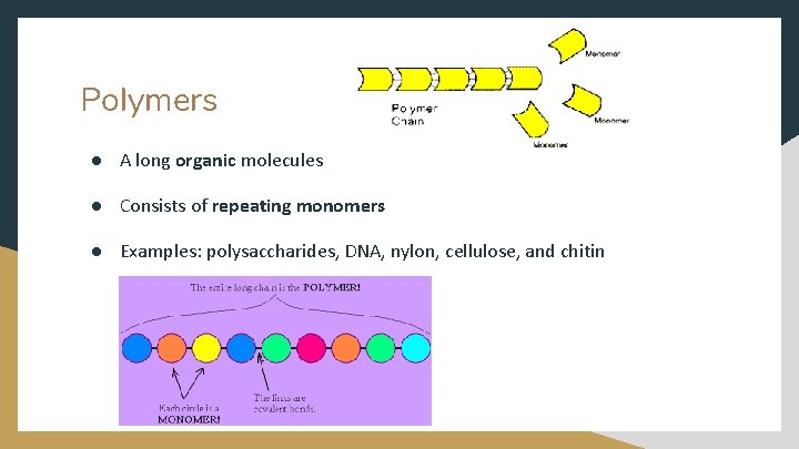 Group One The Principle of Polymers Brigid Barrick