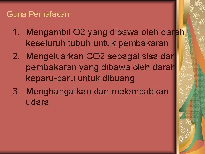 Guna Pernafasan 1. Mengambil O 2 yang dibawa oleh darah keseluruh tubuh untuk pembakaran