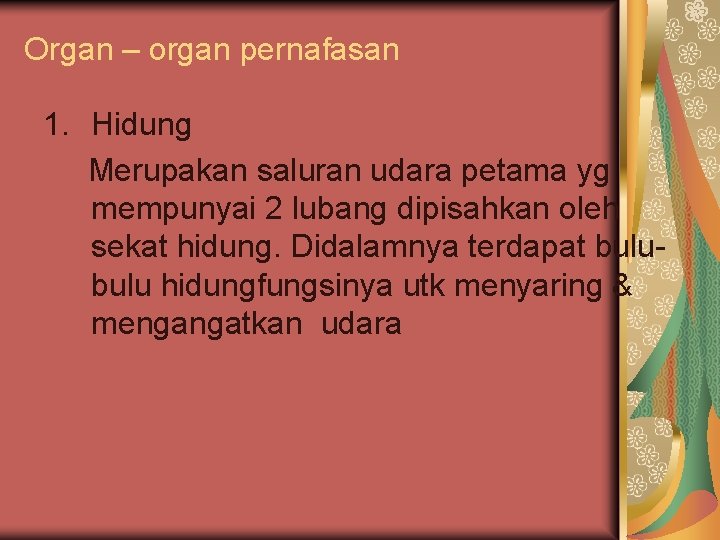 Organ – organ pernafasan 1. Hidung Merupakan saluran udara petama yg mempunyai 2 lubang