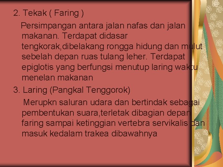 2. Tekak ( Faring ) Persimpangan antara jalan nafas dan jalan makanan. Terdapat didasar