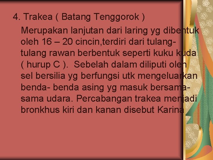4. Trakea ( Batang Tenggorok ) Merupakan lanjutan dari laring yg dibentuk oleh 16