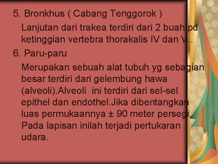 5. Bronkhus ( Cabang Tenggorok ) Lanjutan dari trakea terdiri dari 2 buah pd