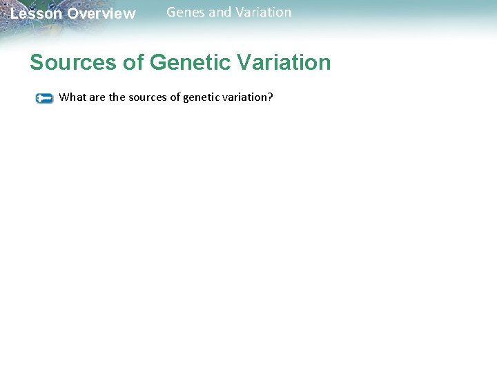 Lesson Overview Genes and Variation Sources of Genetic Variation What are the sources of