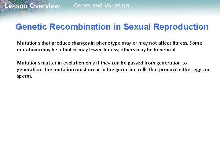Lesson Overview Genes and Variation Genetic Recombination in Sexual Reproduction Mutations that produce changes