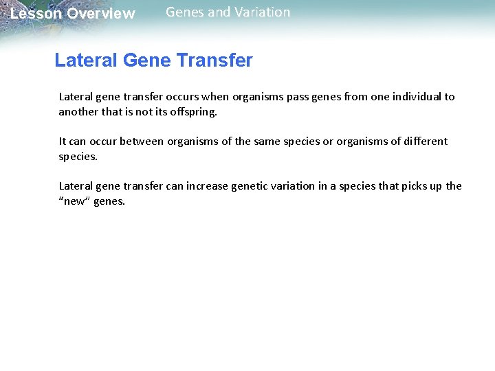 Lesson Overview Genes and Variation Lateral Gene Transfer Lateral gene transfer occurs when organisms