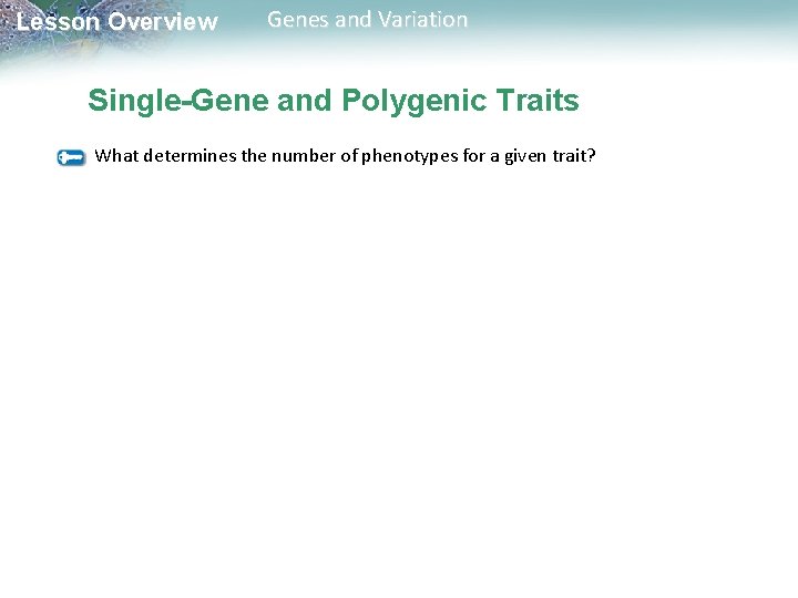 Lesson Overview Genes and Variation Single-Gene and Polygenic Traits What determines the number of