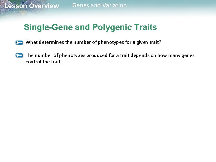 Lesson Overview Genes and Variation Single-Gene and Polygenic Traits What determines the number of