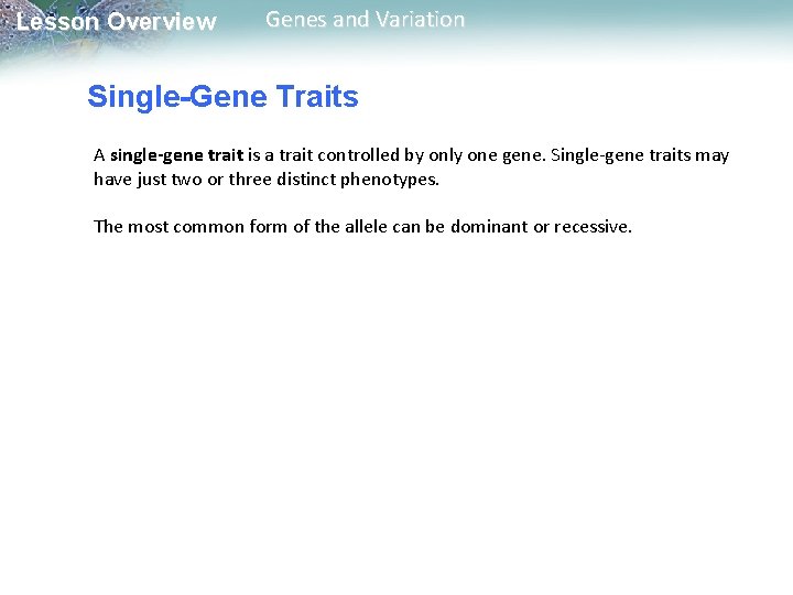 Lesson Overview Genes and Variation Single-Gene Traits A single-gene trait is a trait controlled