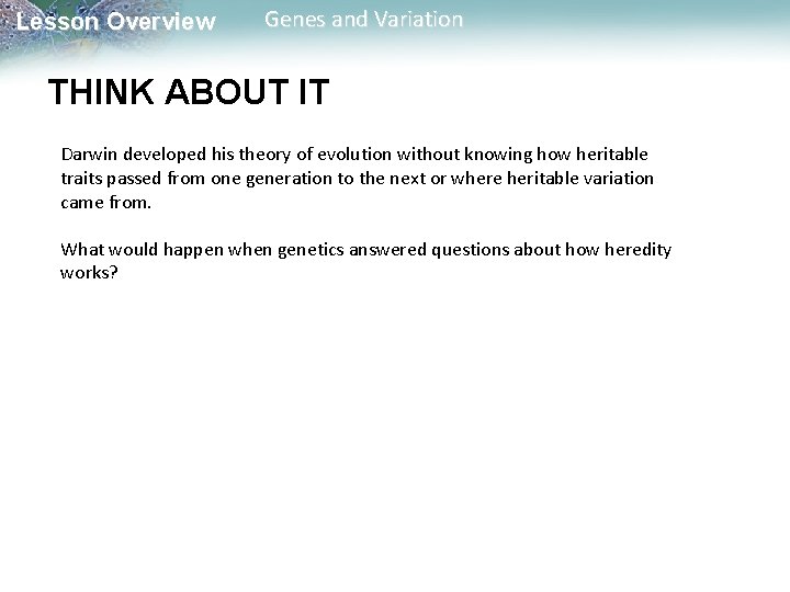 Lesson Overview Genes and Variation THINK ABOUT IT Darwin developed his theory of evolution