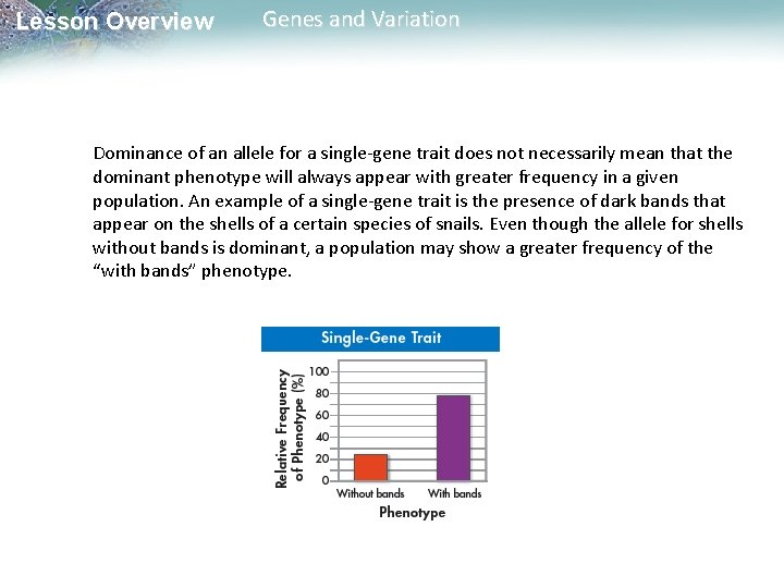 Lesson Overview Genes and Variation Dominance of an allele for a single-gene trait does