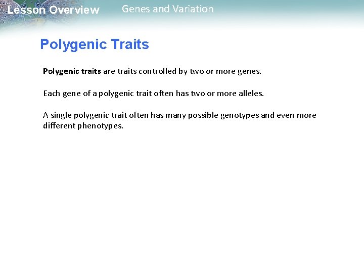 Lesson Overview Genes and Variation Polygenic Traits Polygenic traits are traits controlled by two