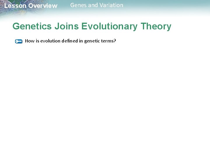 Lesson Overview Genes and Variation Genetics Joins Evolutionary Theory How is evolution defined in