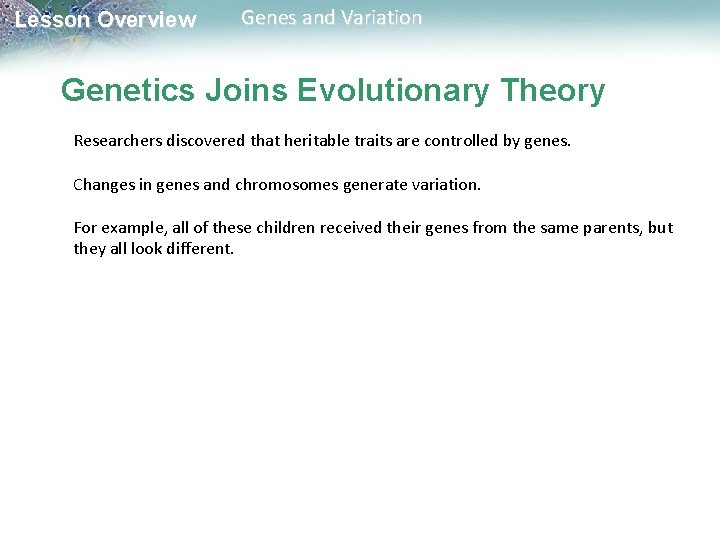 Lesson Overview Genes and Variation Genetics Joins Evolutionary Theory Researchers discovered that heritable traits