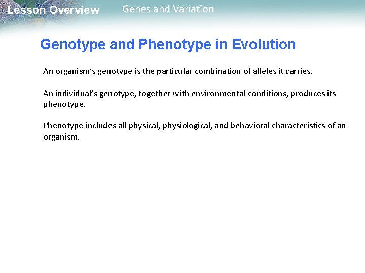 Lesson Overview Genes and Variation Genotype and Phenotype in Evolution An organism’s genotype is