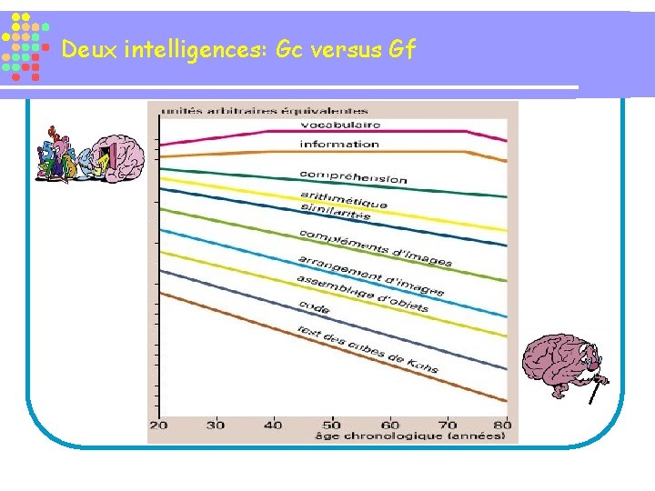 Deux intelligences: Gc versus Gf 