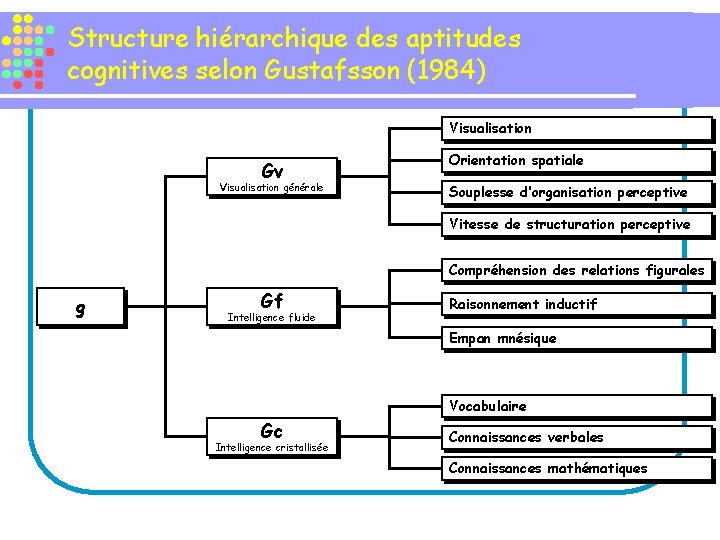 Structure hiérarchique des aptitudes cognitives selon Gustafsson (1984) Visualisation Gv Visualisation générale Orientation spatiale