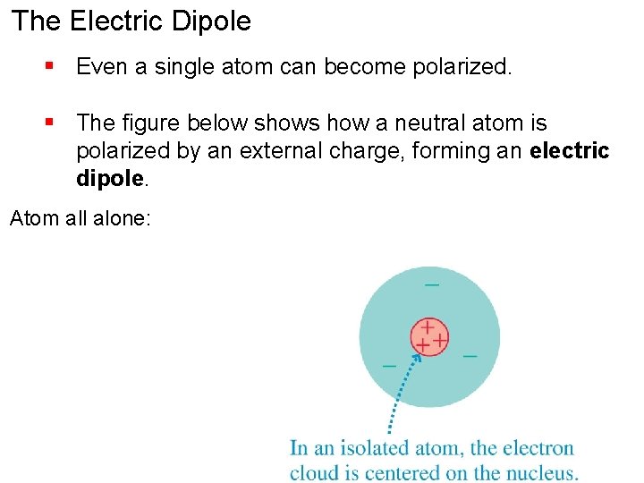 The Electric Dipole § Even a single atom can become polarized. § The figure