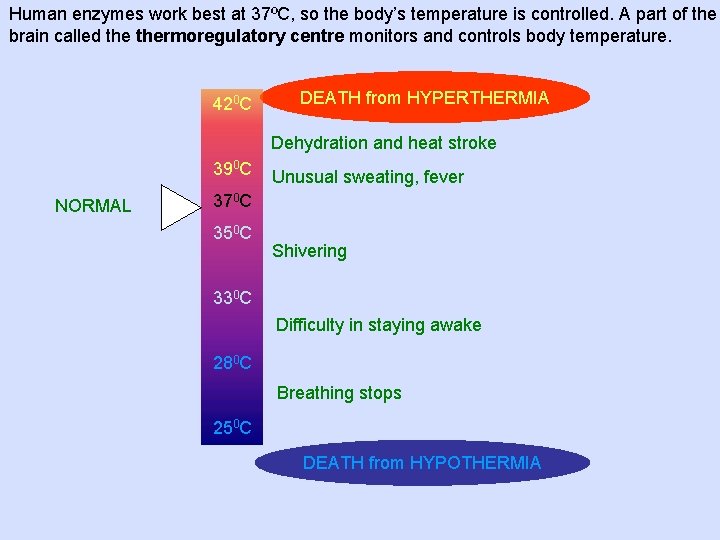 Human enzymes work best at 37ºC, so the body’s temperature is controlled. A part