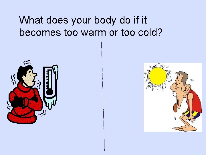 What does your body do if it becomes too warm or too cold? 